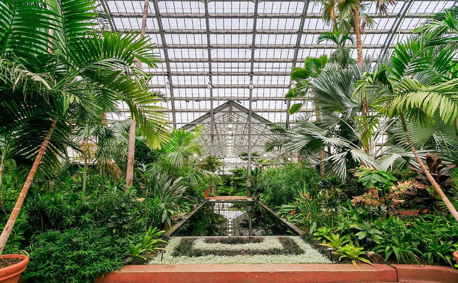 Water feature and plants at the Conservatory
