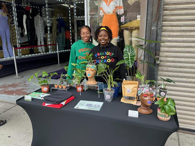 Plant display